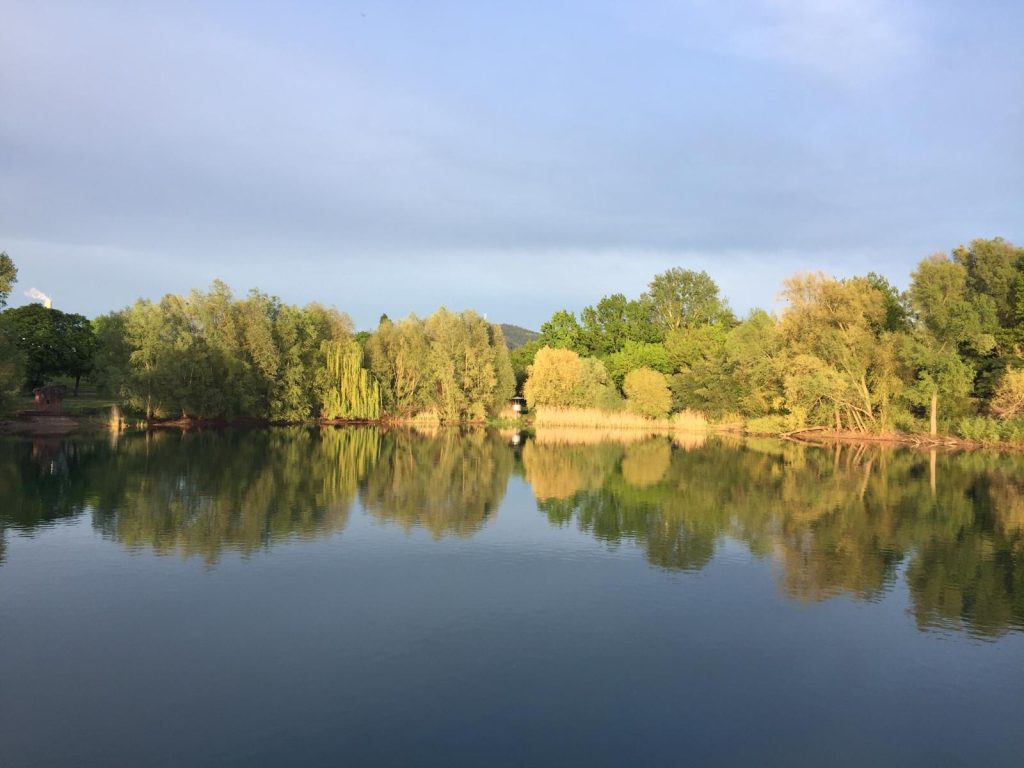 A silhouette of bare trees at sunset with a vivid orange and purple sky.